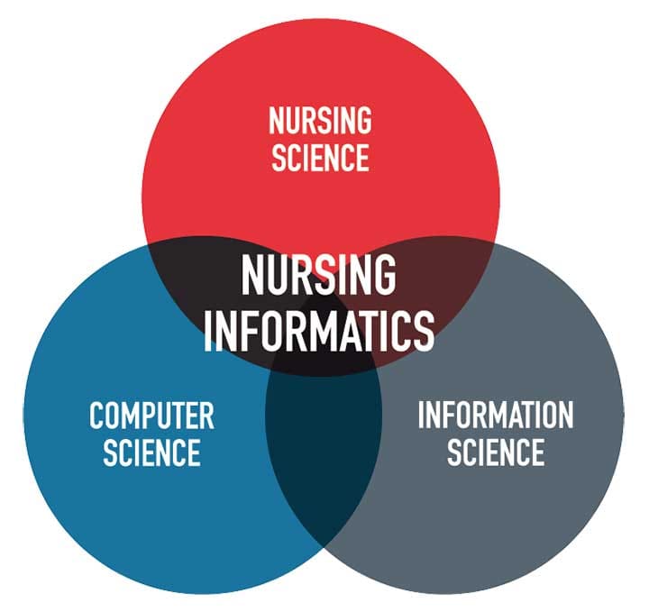 informatics nursing nurse info tech science computer nursing