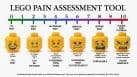 Assess pain and sedation needs