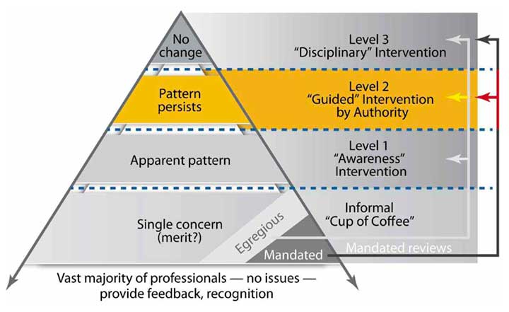 promoting professionalism pyramid