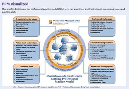 ppm visualized adapting professional practice model