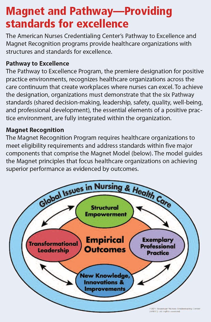 compare pathway excellence magnet recognition program standard