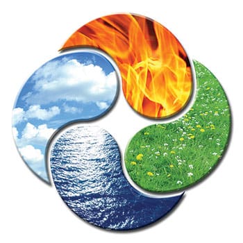 environmental wellness post