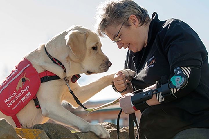 Trained dogs effective in helping patients manage diabetes