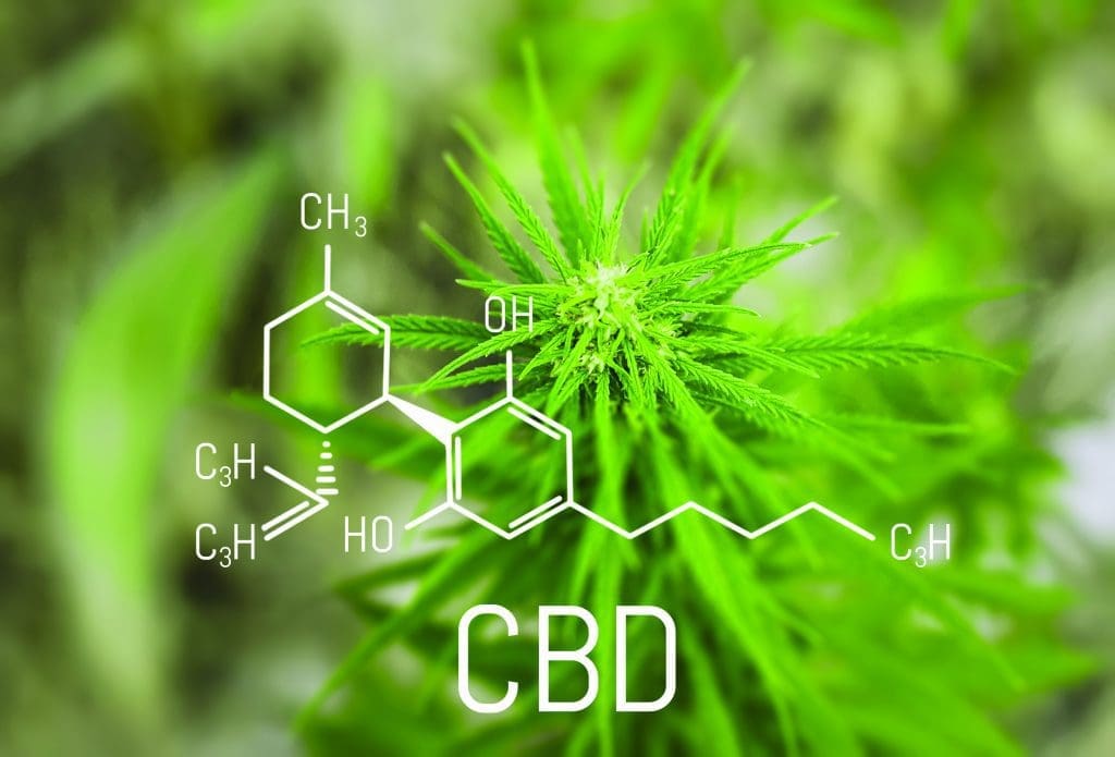 Cannabinoid hyperemesis syndrome explained