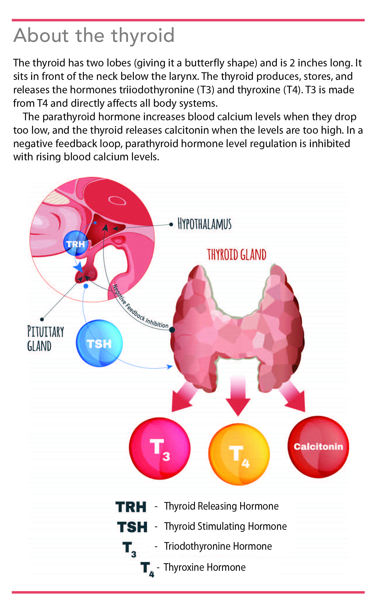 primary-hypothyroidism-common-about-thyroid