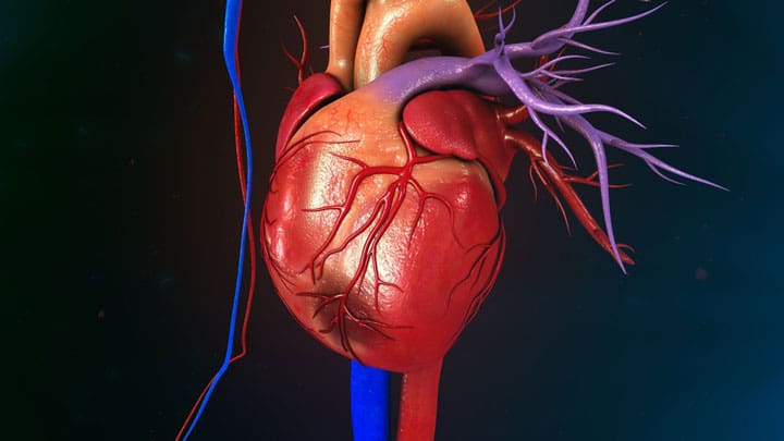 File:Vital signs monitor display.jpg - Wikimedia Commons